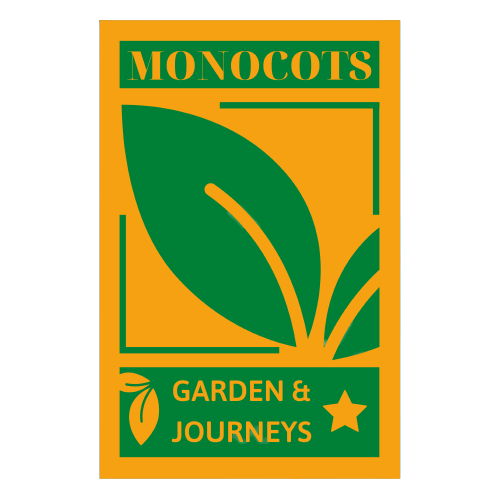 MONOCOTS